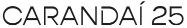 logo-carandai25
